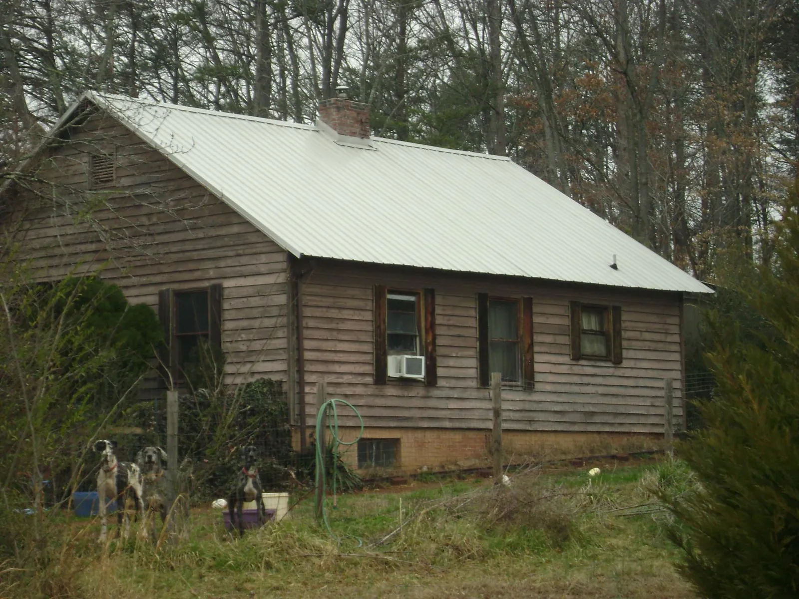 White metal roof on an old wood sided farmhouse, from a Asphalt Shingle Roof Repair job in Bruington